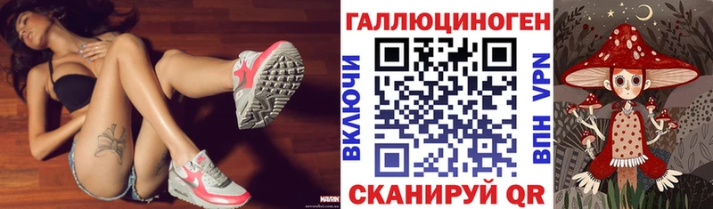 мориарти Telegram  купить наркоту  МЕГА ссылка  Лермонтов  Псилоцибиновые грибы мицелий 